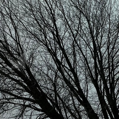 Drinking Too Much - Single