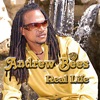 Andrew Bees