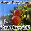 Past Flows Kill (feat. Werb & Vamos) - Single