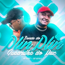 Bonde do Plin Plin - Quadrilha do Pix DJ Gege & DJ Guina