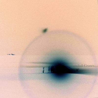 Sandhill Cranes - Single