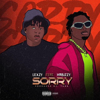 SORRY (feat. Habizzy) - Single