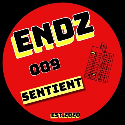 Linear / Formless One (ENDZ009) - Single