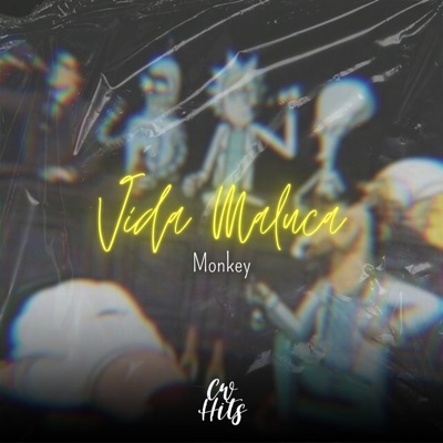 Vida Maluca - Single