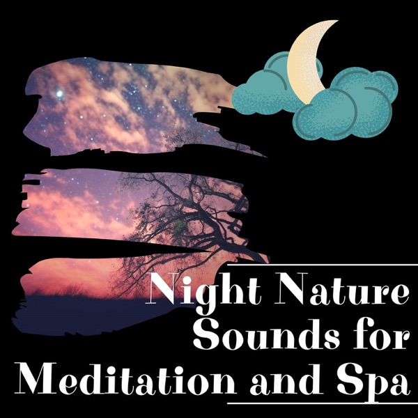 Night Nature Sounds for Meditation and Spa