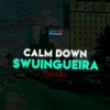 Calm Down Swingueira (Paredão) - Single