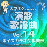 Voice Karaoke Club(Enka Kayoukyoku)Vo.14