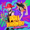 Pau Torando ((Agroplay Verão)) - Single, 2023