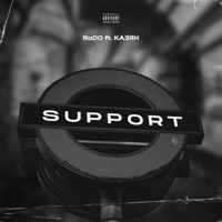 Support (feat. Казян) - Single - Rado