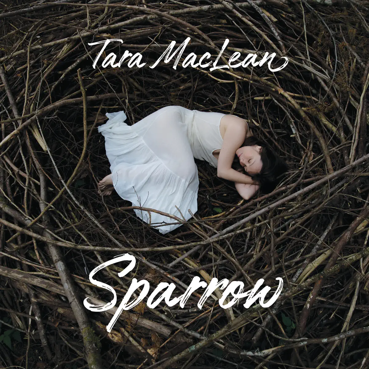 Tara MacLean - Sparrow (2023) [iTunes Plus AAC M4A]-新房子