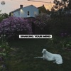 Shaking Your Mind - Single