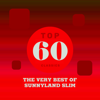 Top 60 Classics - The Very Best of Sunnyland Slim - Sunnyland Slim