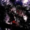Canal - sYrduA lyrics