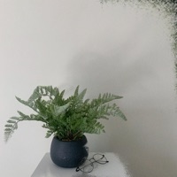 Continue - Single - heylog