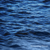 Waves Crashing Relax - Streaming Waves