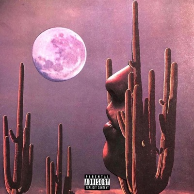 Not My Fault - Single