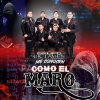 Me conocen como el maro - Single - Grupo Dictamen Norteño