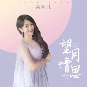 望月情思 (DJ小刚版) - Single