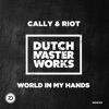 World in My Hands - Single