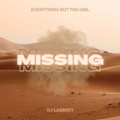 Missing (Dj Labbeey Remix) artwork