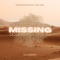 Missing (Dj Labbeey Remix) artwork
