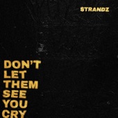 Don't Let Them See You Cry artwork