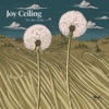 Joy Ceiling