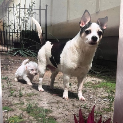 Gettem (feat. K-Rino) - Single