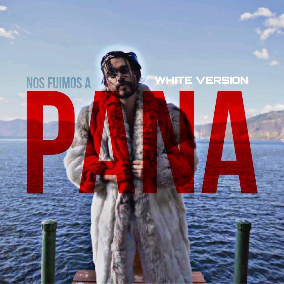 Nos fuimos a pana (White Version) (feat. Esme la chapina) - Single - Album  by Salva X - Apple Music