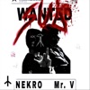 NEKRO & Mr. V