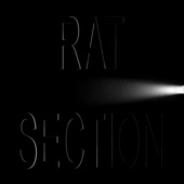 Rat Section - Buggus