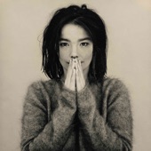 Crying by Björk