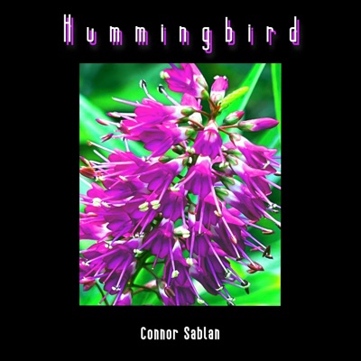 Hummingbird - Single