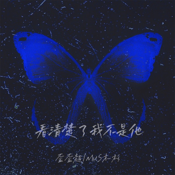 看清楚了我不是他 - Single
