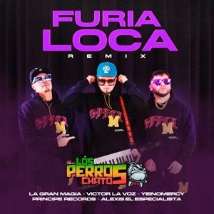 Furia Loca (feat. La Gran Magia Tropical) [Remix]