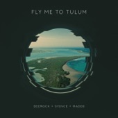 Fly Me To Tulum artwork
