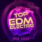 Top EDM Electro Mix 2023 – Best Chill House Beats & Relaxed Vibes artwork