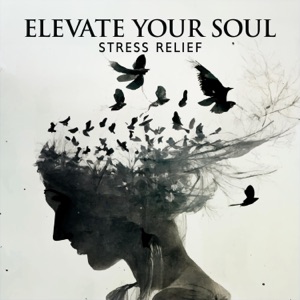 Elevate Your Soul: Stress Relief at 174Hz