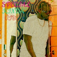 Special Kinda Vibe - Single - UI Unknown Identity