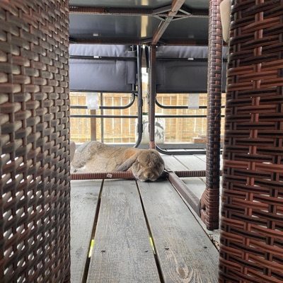 Slow (feat. chibi) - Single