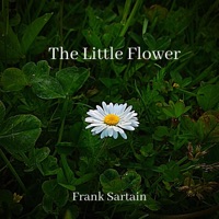 Frank Sartain - The Little Flower
