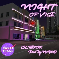 Night of Vice (feat. Nayko) - Single - LIL FENIX