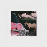 MXCN CABRA - Single - Molly Ritz