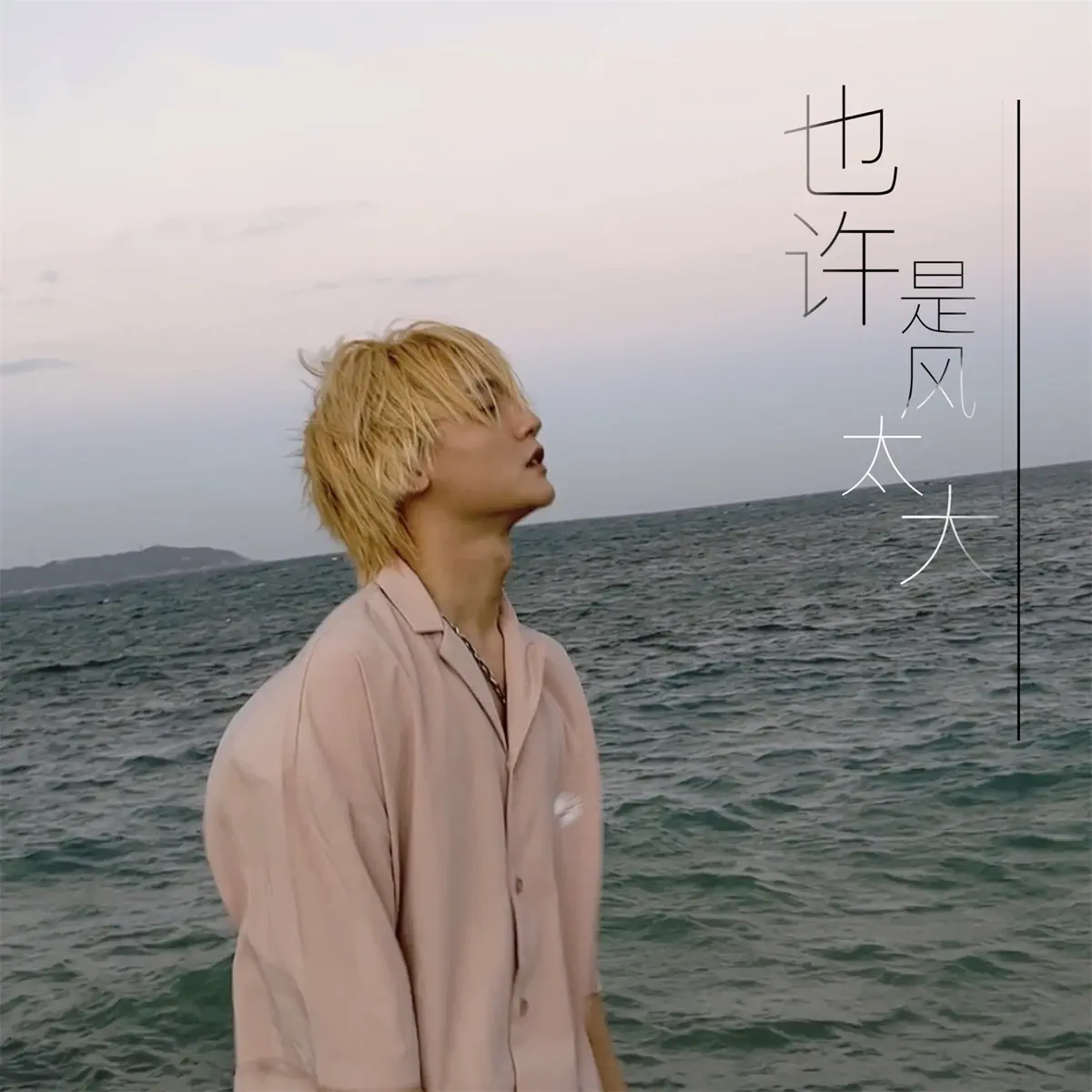 胡睿 - 也许是风太大 (2023) [iTunes Plus AAC M4A]-新房子