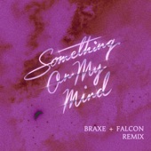 Something On My Mind (Braxe+ Falcon Extended Remix) artwork