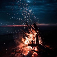 She Feels the Fire - Single - !Aps!