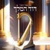 דוד המלך -  ווקאלי - Single