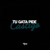 Tu gata pide cast1go artwork