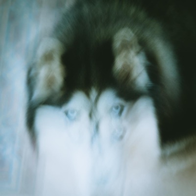 Ocean Sounds - Single