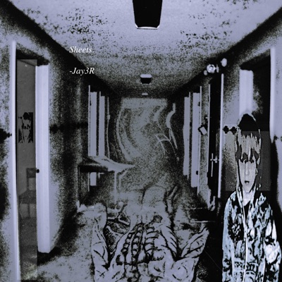 Sheets - Single
